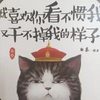 猫先生头像