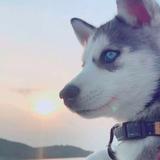 用户2750915809579头像