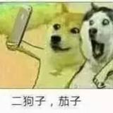 顺理成张二哈头像