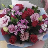 聪明的海风s6头像