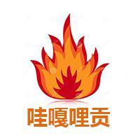 哇嘎哩贡头像