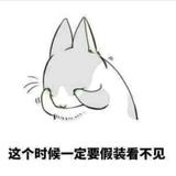 163062743头像