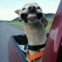 此男有主60940122头像