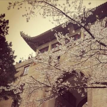 美文旅游头像