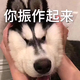 可惜没如果头像