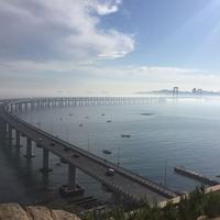 橄榄树81396头像