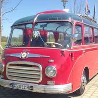 雪山白凤凰5320头像