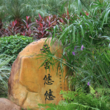 用户982339264984头像