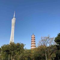 水木清华65295头像