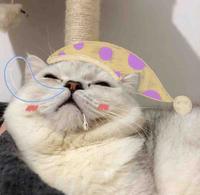 何小姐的多巴胺头像