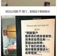 嫩嫩的多多头像