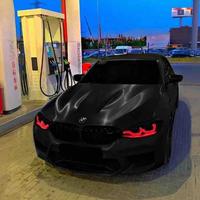 我尾翼超大头像