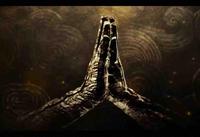 小豆豆的视频头像