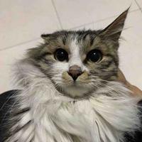 可有可无ぃ💥头像