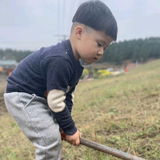 外向百灵鸟4R5头像
