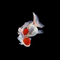 用户6355014120185头像