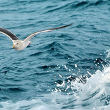 用户4835820017488头像