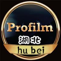 Profilm膜姐头像