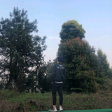 丶姓头像