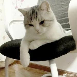 来世愿做一只喵灬头像