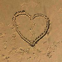 今天你王者五排了吗头像