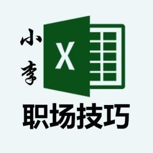 小李Excel职场技巧头像