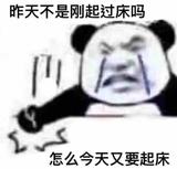 隔壁阿陆头像
