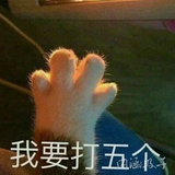 用户3086571505头像