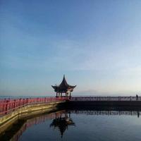 萍水小默默头像