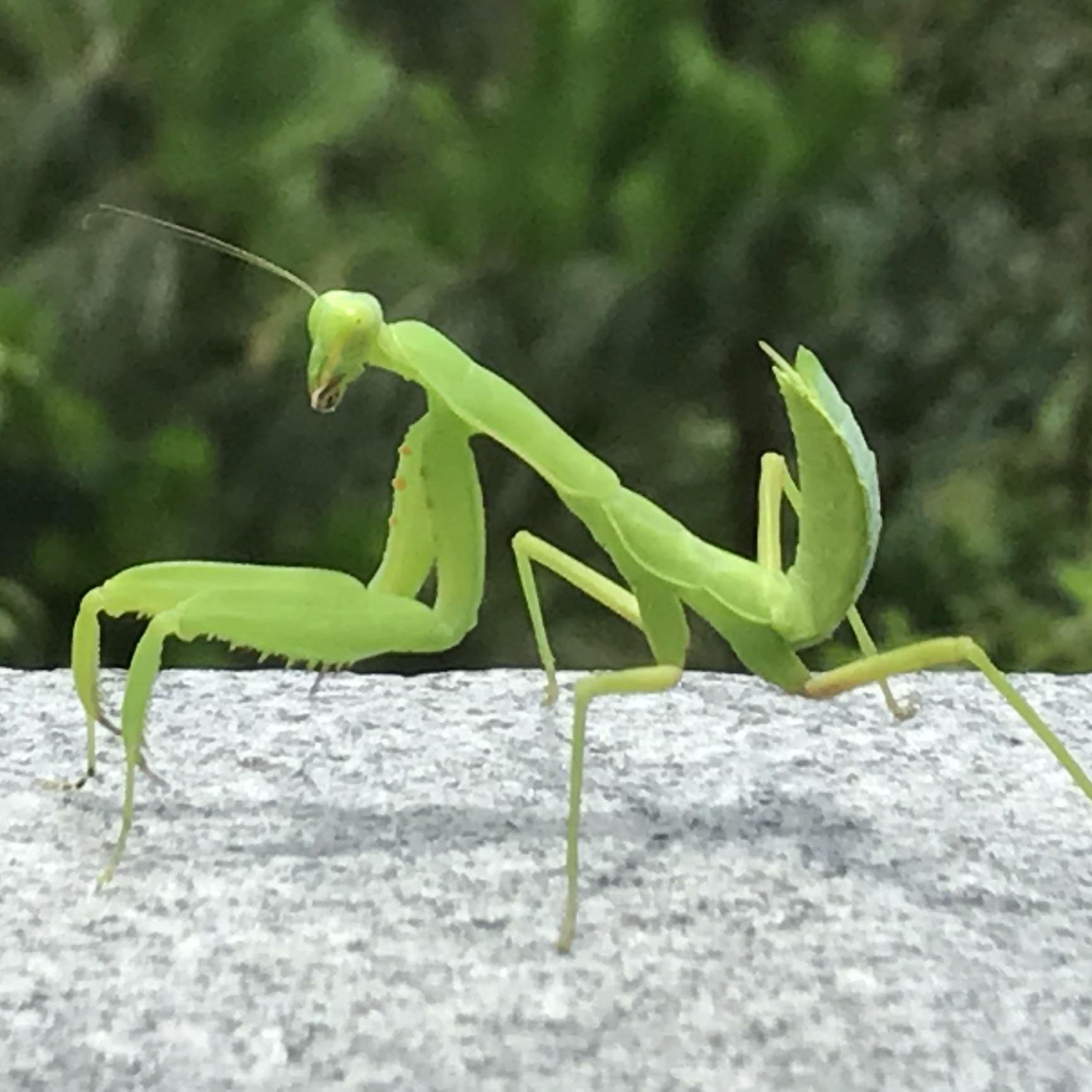 生活大拿头像