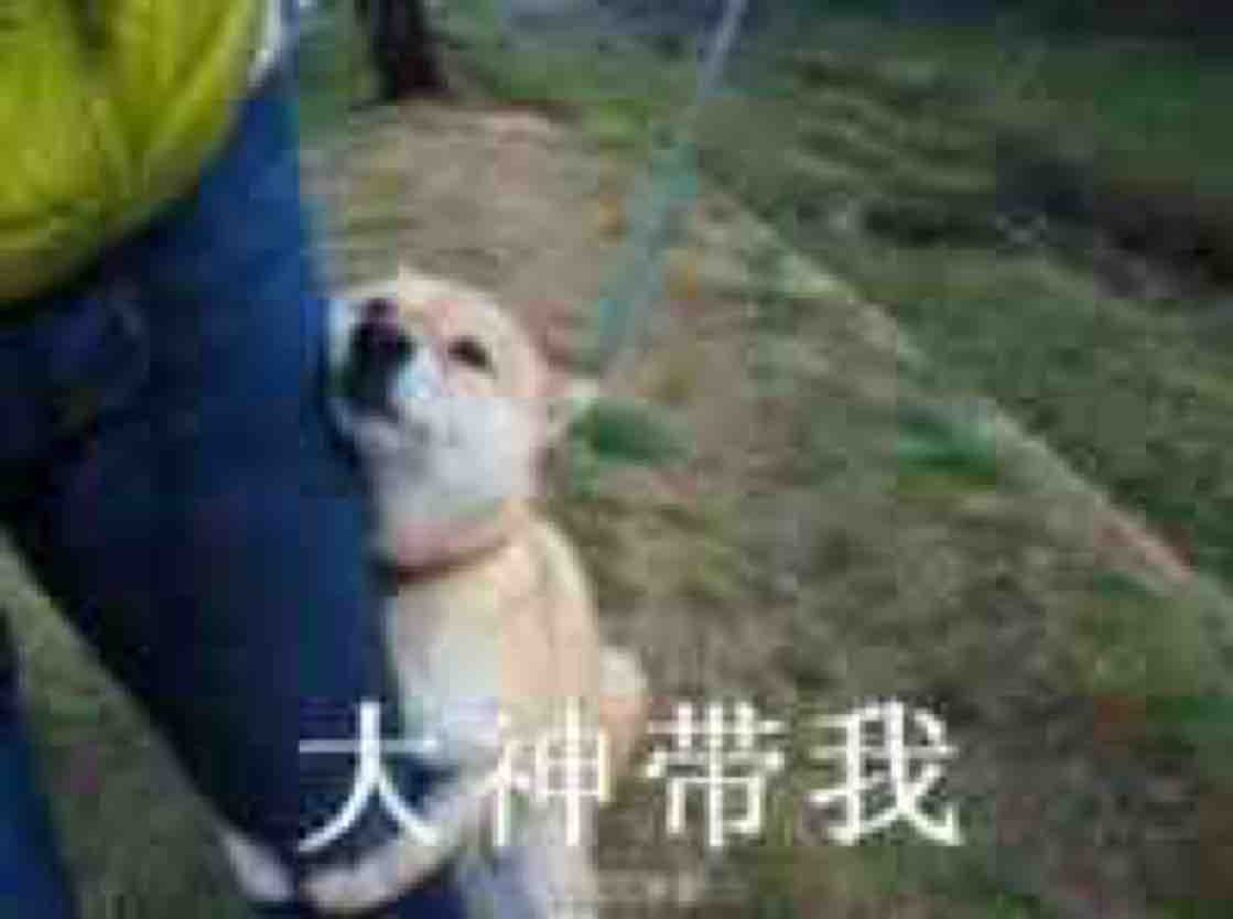 magic东头像