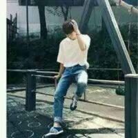 整条九尾狐头像