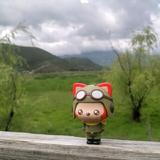 爱的故事开始头像