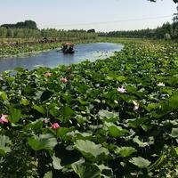 本溪好青年_头像