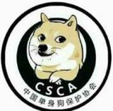 CSCA河南总经理头像