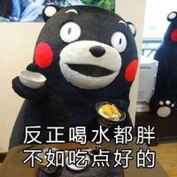 袋鼠头像