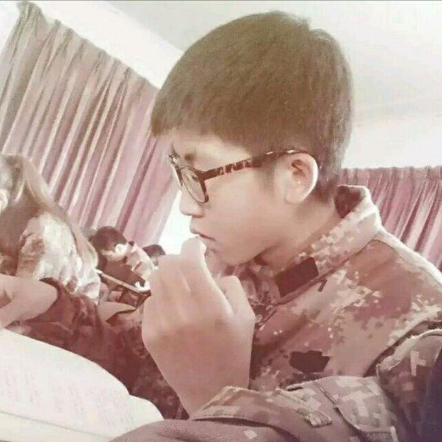 A进击的2018暹罗猫头像