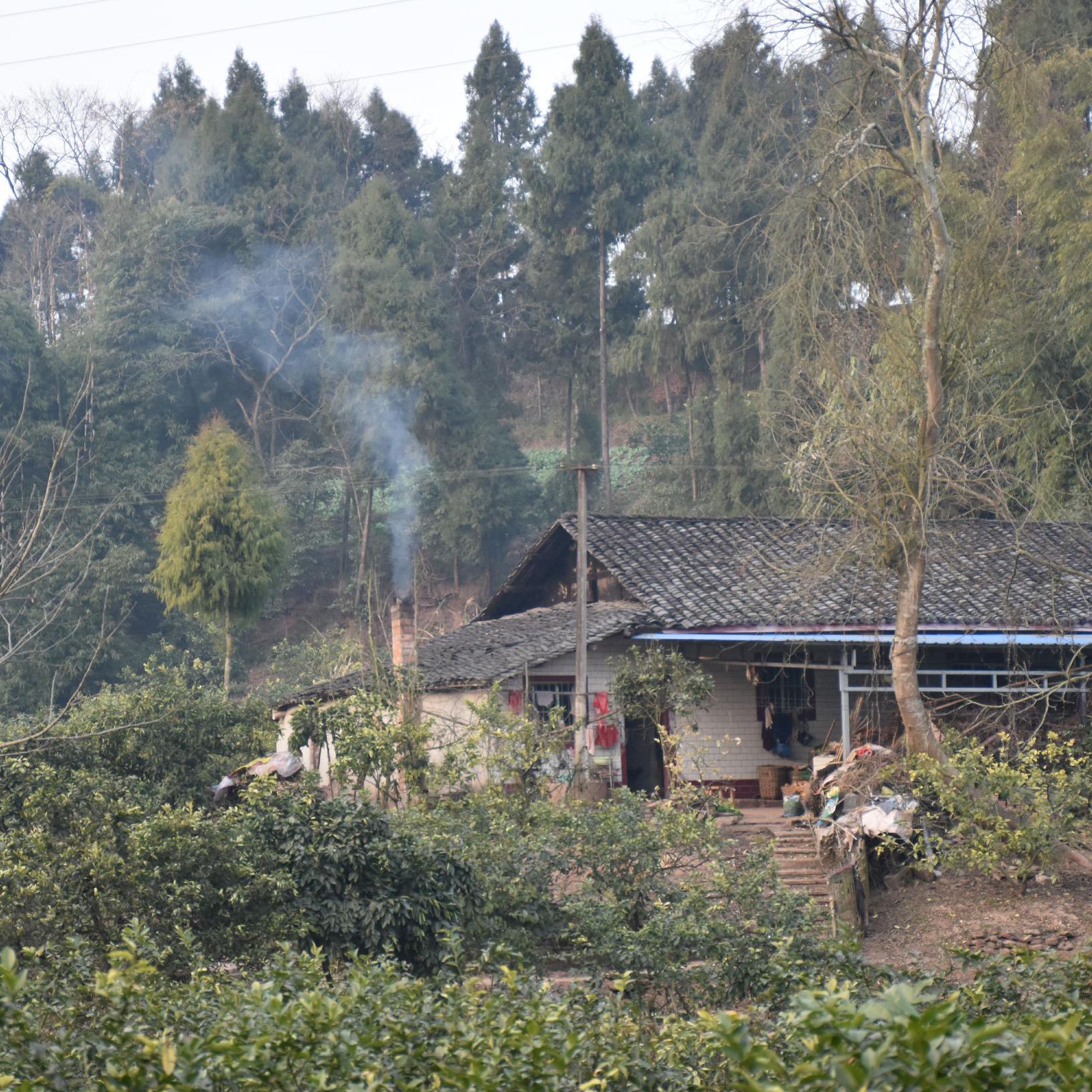 深活在乡村头像