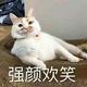 兴盛德花生头像
