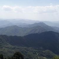 决战胜锦鲤头像