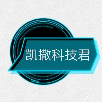 凯撒科技君头像