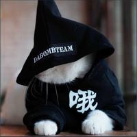 丿初来乍到头像