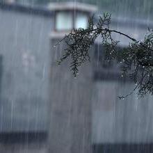 夏夜的一场雨头像