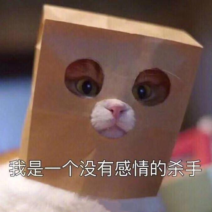 汽车连篇头像