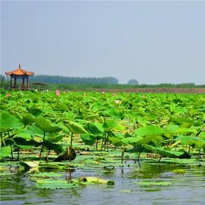 小校畅谈头像