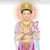 辰辰TV头像