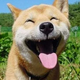 A一阵秋风 · 锐程CC车主·车龄4年头像