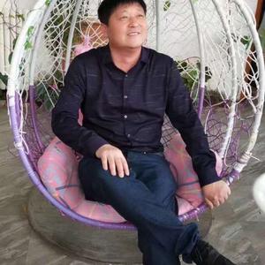 王志友65头像
