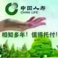 国寿黄礼忠498头像