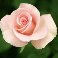 用户104215681813头像